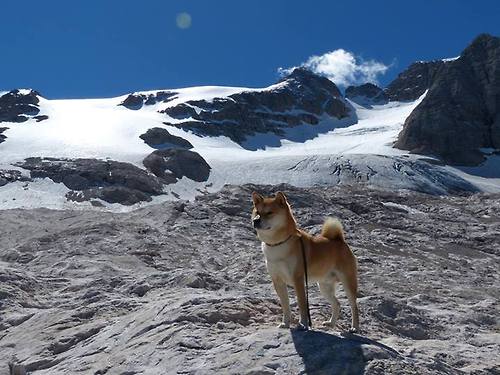 华体会下载-隔空对决，绿茵场与篮球场的统治力宣言